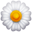 सफेद फूल इमोजी U+1F33C