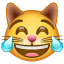 खुशी के आँसू बिल्ली इमोजी U+1F639