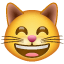मजेदार बिल्ली चेहरा इमोजी U+1F638